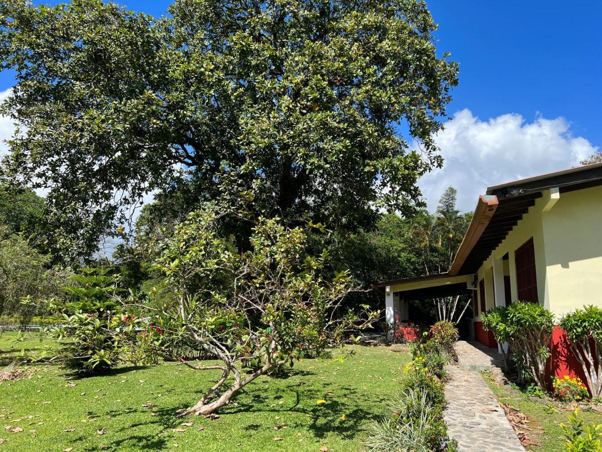La Casa De Los Patos El Valle de Anton Luaran gambar